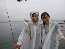 兵突　姉妹で６００匹？