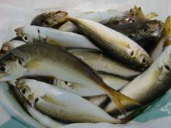 【お母さんもご満悦】南芦屋浜リアルタイム …