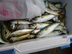 北公園、小野浜ＲＴ