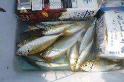 食品コンビナート。リアルタイム