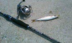 日中ライトゲーム♪