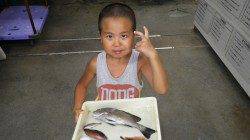 芳養にて、サビキ釣りコロダイ・ベラなどの釣果