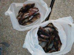 【お母さんもご満悦】南芦屋浜リアルタイム