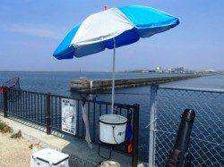 ダンゴでチヌ連発♪　泉大津RT　8日ひる