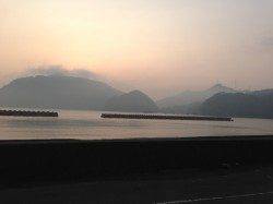 日引でサビキ釣り、アジの代わりにガシラが反応しました。