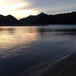 イカ調査に行きました…日引でロックフィッシュ