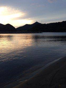 イカ調査に行きました…日引でロックフィッシュ