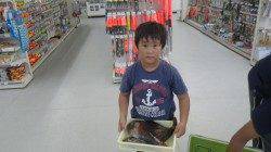 椿でウキ釣りでイガミ20～40cm