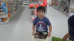 椿でウキ釣りでイガミ20～40cm