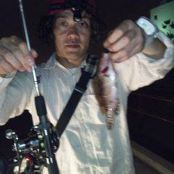 大阪南港　タコジグでタコ2ハイ　ブラクリで小型アコウ