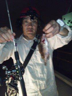 大阪南港　タコジグでタコ2ハイ　ブラクリで小型アコウ