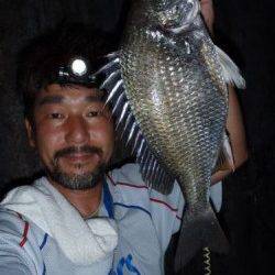 南港のキビレ熱いですねぇ～♪