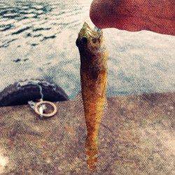 浜坂港 ライトゲームでマハタ・ハゼなど