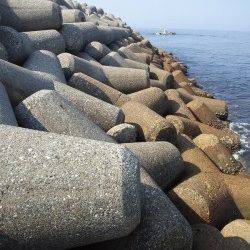 東二見人工島　テトラのランガンでガシラ47匹！　他メバルも