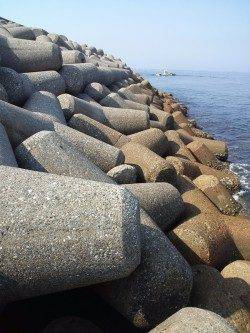 東二見人工島　テトラのランガンでガシラ47匹！　他メバルも