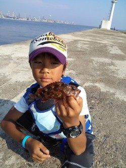 高砂港　探り釣りでガシラ4尾・ベラ・チャリコの釣果