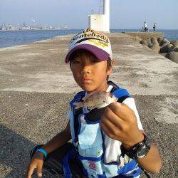 高砂港　探り釣りでガシラ4尾・ベラ・チャリコの釣果