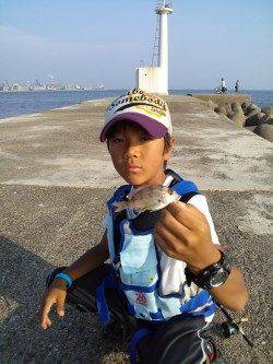 高砂港　探り釣りでガシラ4尾・ベラ・チャリコの釣果