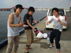 神戸港4,5,6,8防　サビキのアジ・サバ好調の様子です☆