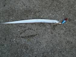 神戸港西側波止でルアーゲーム【バイブでタコ…