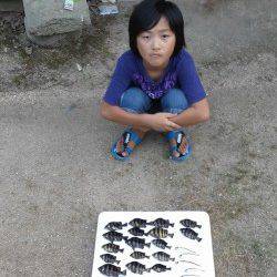 旭　サビキで豆アジ狙い　サンバソウ多いも満足釣果