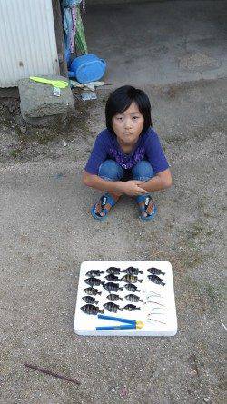 旭　サビキで豆アジ狙い　サンバソウ多いも満足釣果