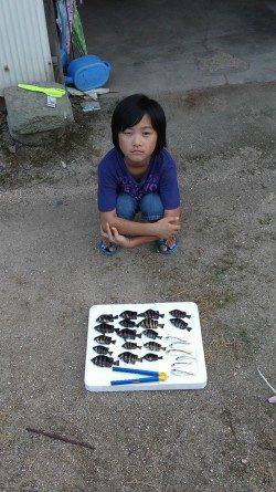 旭　サビキで豆アジ狙い　サンバソウ多いも満足釣果