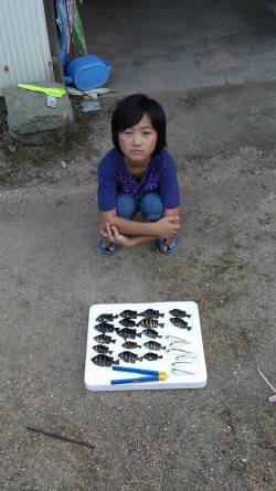 旭　サビキで豆アジ狙い　サンバソウ多いも満…