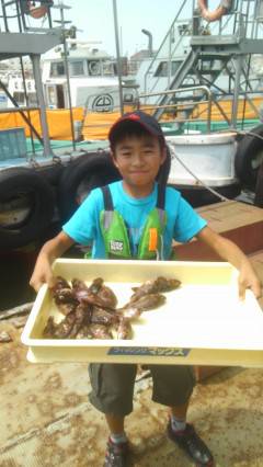 旧の赤灯台でズボ釣り、ガシラが好調です！