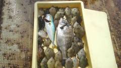 沖の一文字、色々な釣り方が楽しめます★