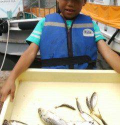 沖の北で良型アジを釣り少年がＧＥＴ！