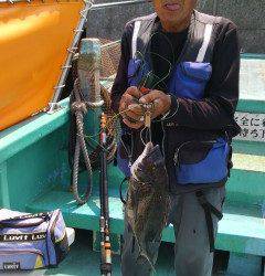 岸和田沖の一文字でチヌ39cm　落とし込み釣果