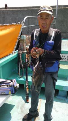 岸和田沖の一文字でチヌ39cm　落とし込み…