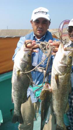 旧の白灯台でウキ釣り、76cmを頭にスズキ…