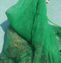 沖の3番、壁ぎわ・中層でタコをキャッチ！