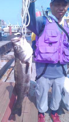 旧の白灯台、ウキ釣りで71cmのスズキＧＥ…