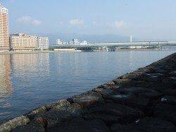 西宮浜方面でルアーでツバスがヒット！