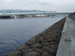 西宮浜、メタルバイブで70cmの立派なシーバス！