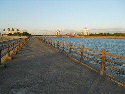 貝塚　夜のエビ撒き釣りでガシラ〜16.5cm5匹