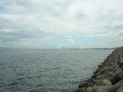 助松埠頭　タコジグの探り釣りでタコ4ハイ　6時〜9時過ぎの釣果