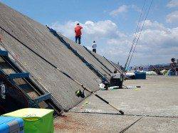 武庫川尻一文字　タコジグでタコ10パイ　アジ、ツバス、サヨリの姿も