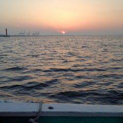 神戸港4,5,6,8防　朝の時合いにショアジギングでツバス30cm前後がヒット！