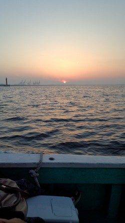 神戸港4,5,6,8防　朝の時合いにショアジギングでツバス30cm前後がヒット！