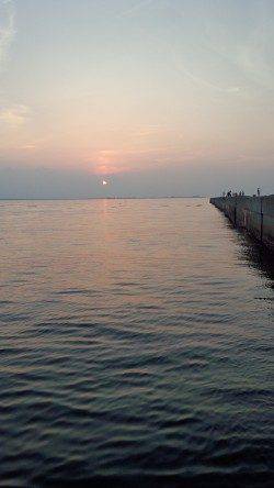 神戸港、開始30分ほどでサゴシがヒット！