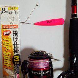 洲本でちょい投げ、キスの釣果☆