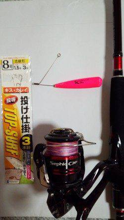 洲本でちょい投げ、キスの釣果☆