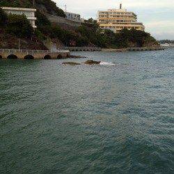 田ノ浦漁港、墨族2.5号で合計3杯のアオリイカ☆