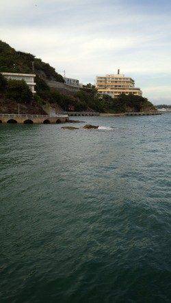 田ノ浦漁港、墨族2.5号で合計3杯のアオリイカ☆