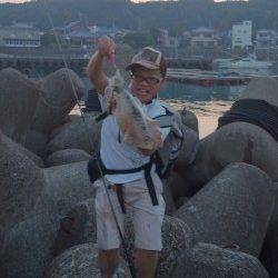 田辺・戎漁港　友人3人の釣行　エギングでアオリイカ600g＆多数の新子