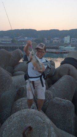 田辺・戎漁港　友人3人の釣行　エギングでアオリイカ600g＆多数の新子